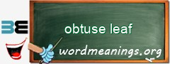 WordMeaning blackboard for obtuse leaf